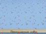 Хлопок- пике плательная ткань BIRD #Blue 4